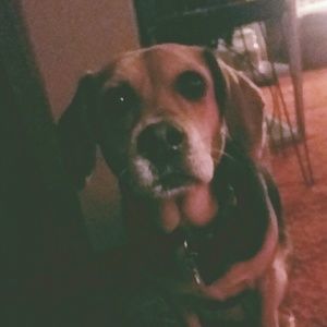 Meet your Posher, Deona